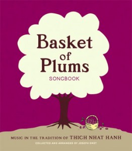 Basket of Plums